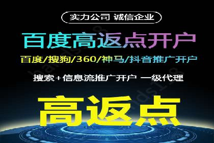 百度推广运营案例精选：揭秘成功之道